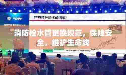 消防栓水管更换规范，保障安全，维护生命线