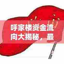 呼家楼资金流向大揭秘，最新动态一网打尽