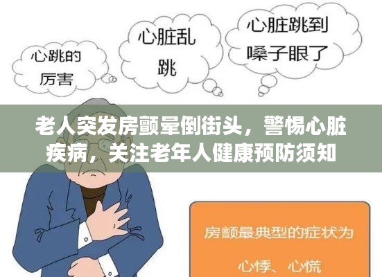 老人突发房颤晕倒街头,警惕心脏疾病,关注老年人健康预防须知