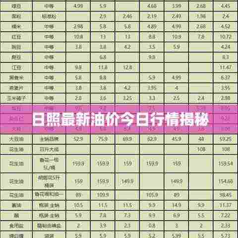日照最新油价今日行情揭秘