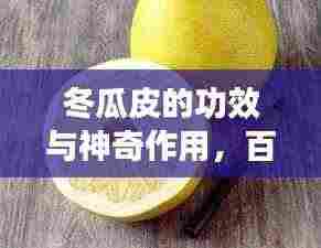 冬瓜皮的功效与神奇作用，百度带你探索其奥秘！