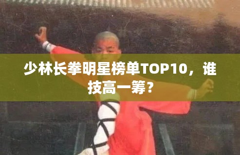 少林长拳明星榜单TOP10，谁技高一筹？