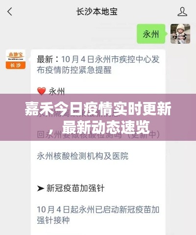 嘉禾今日疫情实时更新，最新动态速览