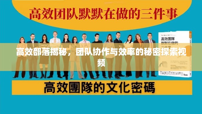 高效部落揭秘，团队协作与效率的秘密探索视频