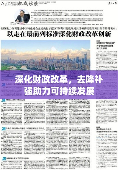 深化财政改革，去降补强助力可持续发展