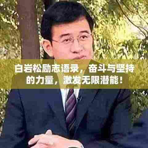 白岩松励志语录，奋斗与坚持的力量，激发无限潜能！