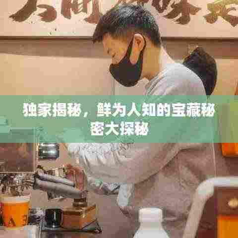 独家揭秘，鲜为人知的宝藏秘密大探秘