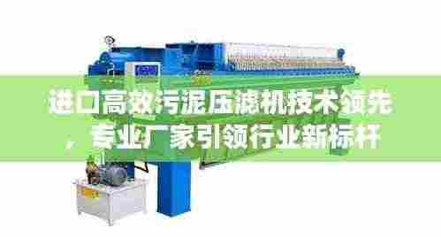 进口高效污泥压滤机技术领先，专业厂家引领行业新标杆