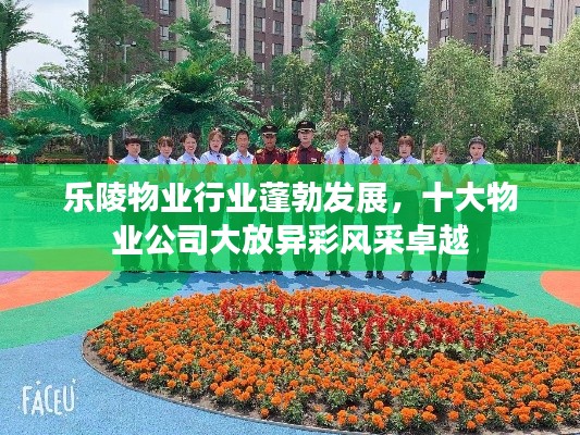 乐陵物业行业蓬勃发展，十大物业公司大放异彩风采卓越