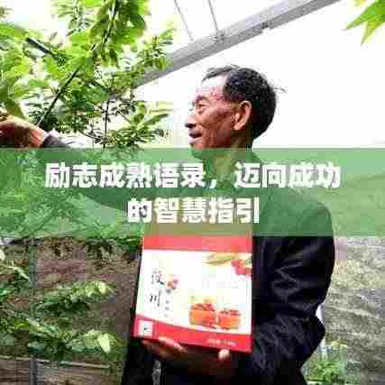 衣不兼彩 第3页