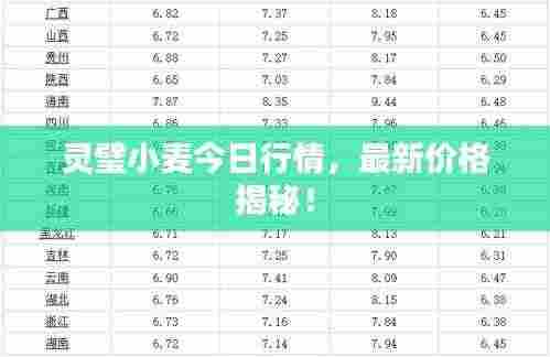 灵璧小麦今日行情，最新价格揭秘！