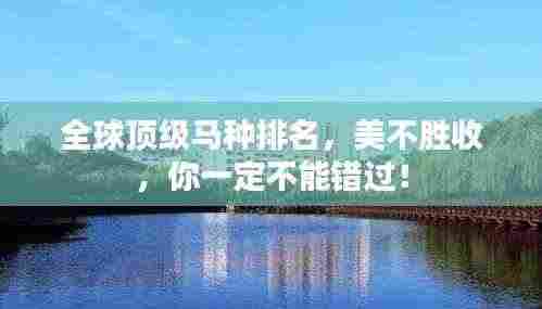 全球顶级马种排名，美不胜收，你一定不能错过！
