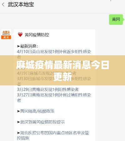 麻城疫情最新消息今日更新