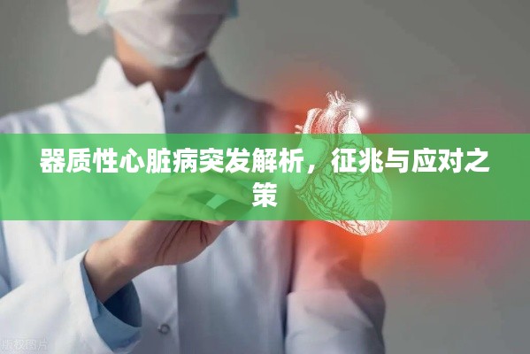 器质性心脏病突发解析，征兆与应对之策