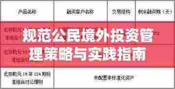规范公民境外投资管理策略与实践指南
