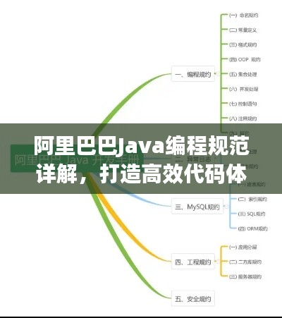 阿里巴巴Java编程规范详解，打造高效代码体系的标准指南