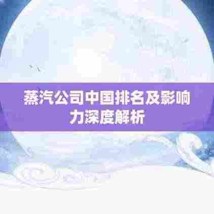 蒸汽公司中国排名及影响力深度解析