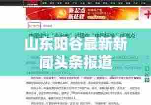 山东阳谷最新新闻头条报道