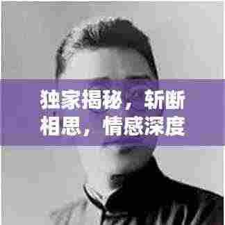 独家揭秘，斩断相思，情感深度解析！