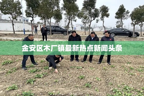 金安区木厂镇最新热点新闻头条