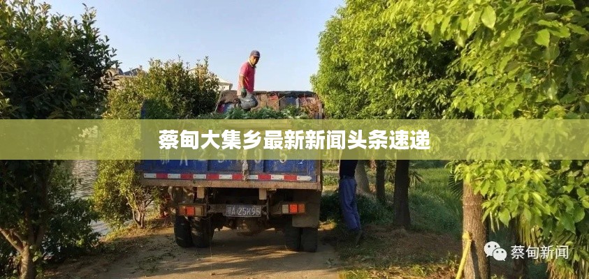 蔡甸大集乡最新新闻头条速递