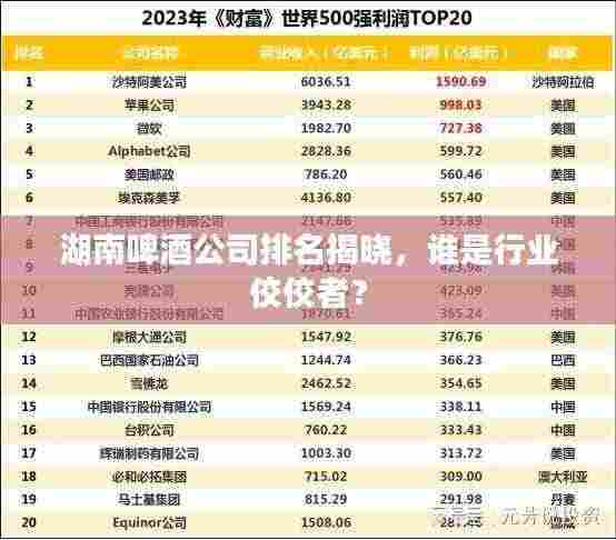 湖南啤酒公司排名揭晓，谁是行业佼佼者？