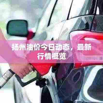 扬州油价今日动态，最新行情概览
