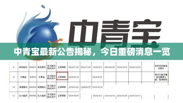 中青宝最新公告揭秘，今日重磅消息一览