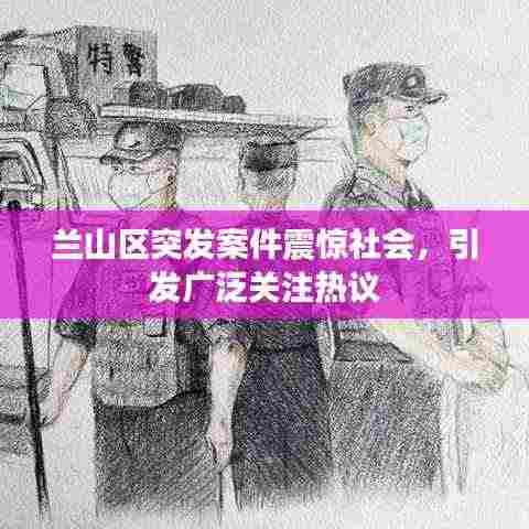 兰山区突发案件震惊社会，引发广泛关注热议