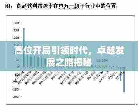 高位开局引领时代，卓越发展之路揭秘