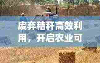 废弃秸秆高效利用，开启农业可持续发展新篇章