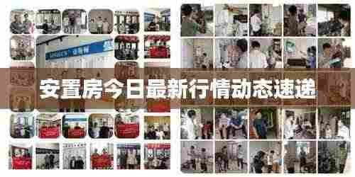 安置房今日最新行情动态速递