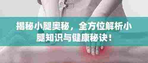 揭秘小腿奥秘，全方位解析小腿知识与健康秘诀！