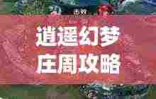 逍遥幻梦庄周攻略大全，探索最新策略与技巧