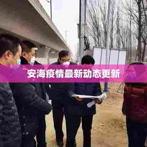 安海疫情最新动态更新
