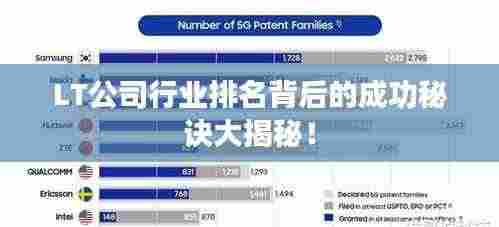 LT公司行业排名背后的成功秘诀大揭秘！