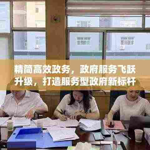 精简高效政务，政府服务飞跃升级，打造服务型政府新标杆