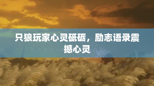 只狼玩家心灵砥砺,励志语录震撼心灵