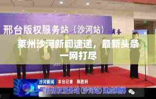 莱州沙河新闻速递，最新头条一网打尽