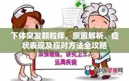 下体突发颗粒痒，原因解析、症状表现及应对方法全攻略