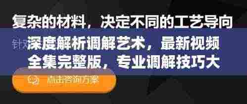 深度解析调解艺术，最新视频全集完整版，专业调解技巧大揭秘