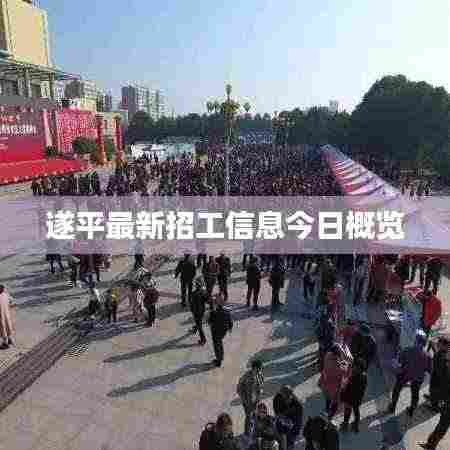遂平最新招工信息今日概览