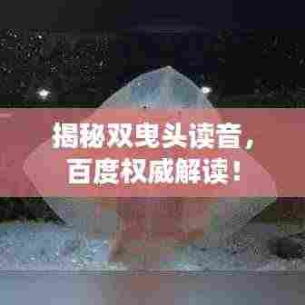 揭秘双曳头读音，百度权威解读！