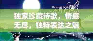 独家珍藏诗歌，情感无尽，独特表达之魅力