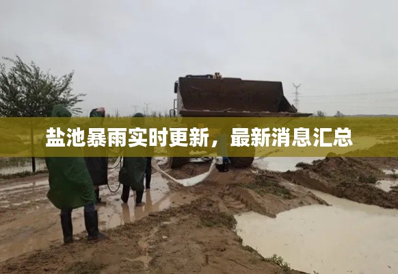 盐池暴雨实时更新，最新消息汇总