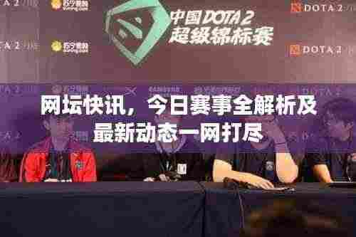 网坛快讯，今日赛事全解析及最新动态一网打尽