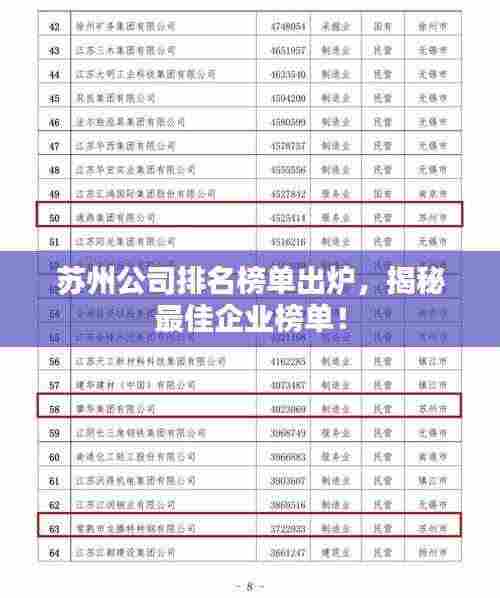 苏州公司排名榜单出炉，揭秘最佳企业榜单！