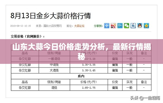 山东大蒜今日价格走势分析，最新行情揭秘