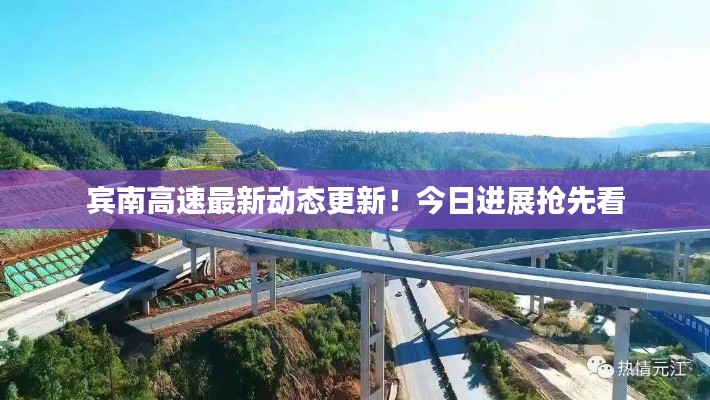 宾南高速最新动态更新！今日进展抢先看