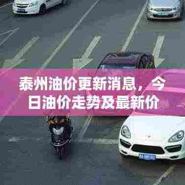 落土飞岩 第2页